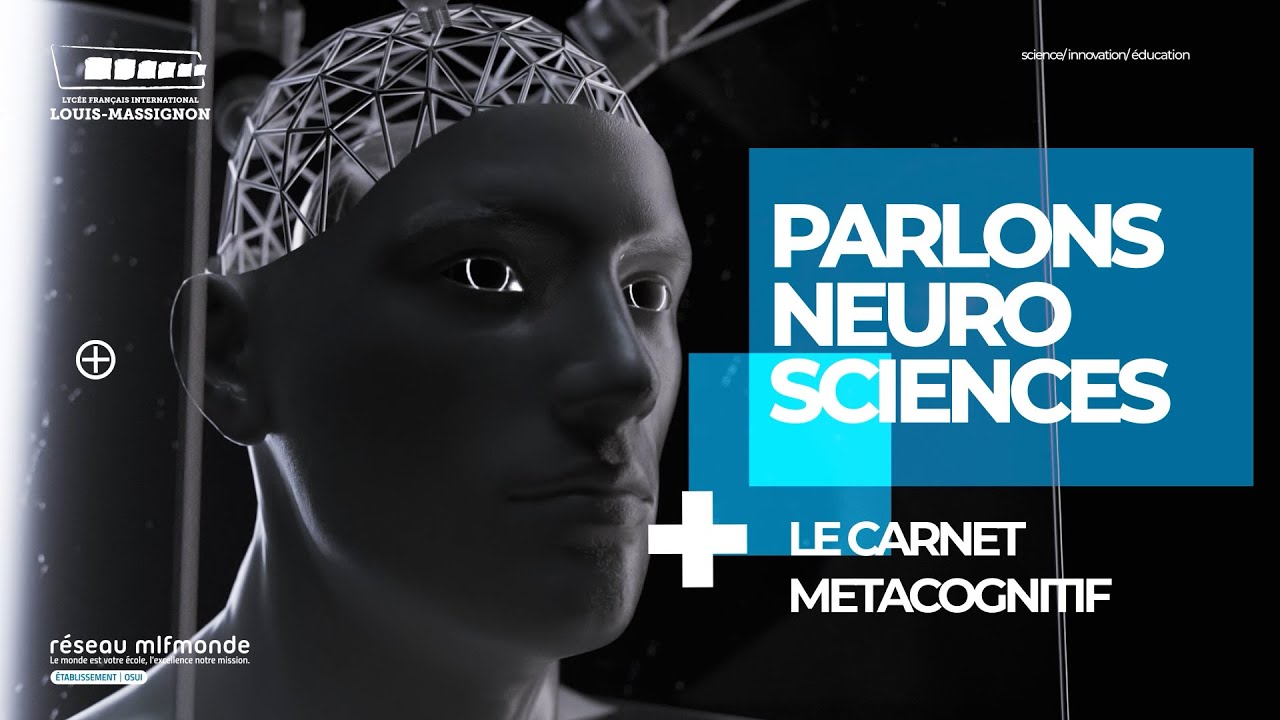 Neurosciences : La métacognition expliquée 🧠