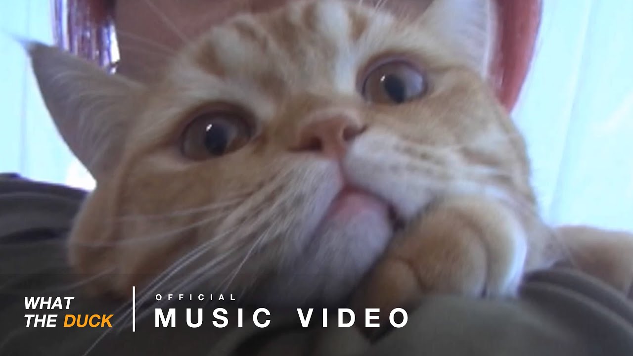 LANDOKMAI เปิดตัวด้วยเพลงรักแรก 'Blooming' พร้อมมิวสิควิดีโอสุดหวาน 💖