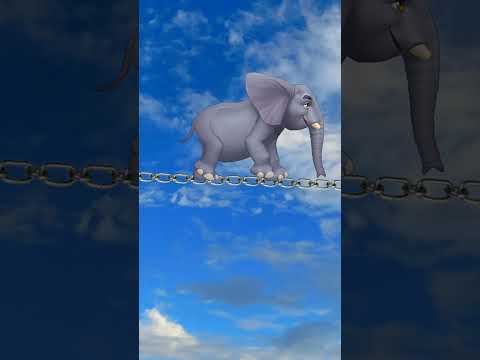 2M viral view #islamicshorts #shortvideos #vfxshorts #viralvideos