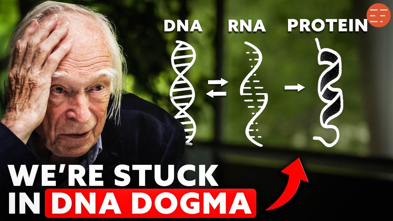 Denis Noble: "Neo-Darwinism Is Dead" | We Need A Biology Beyond Genes