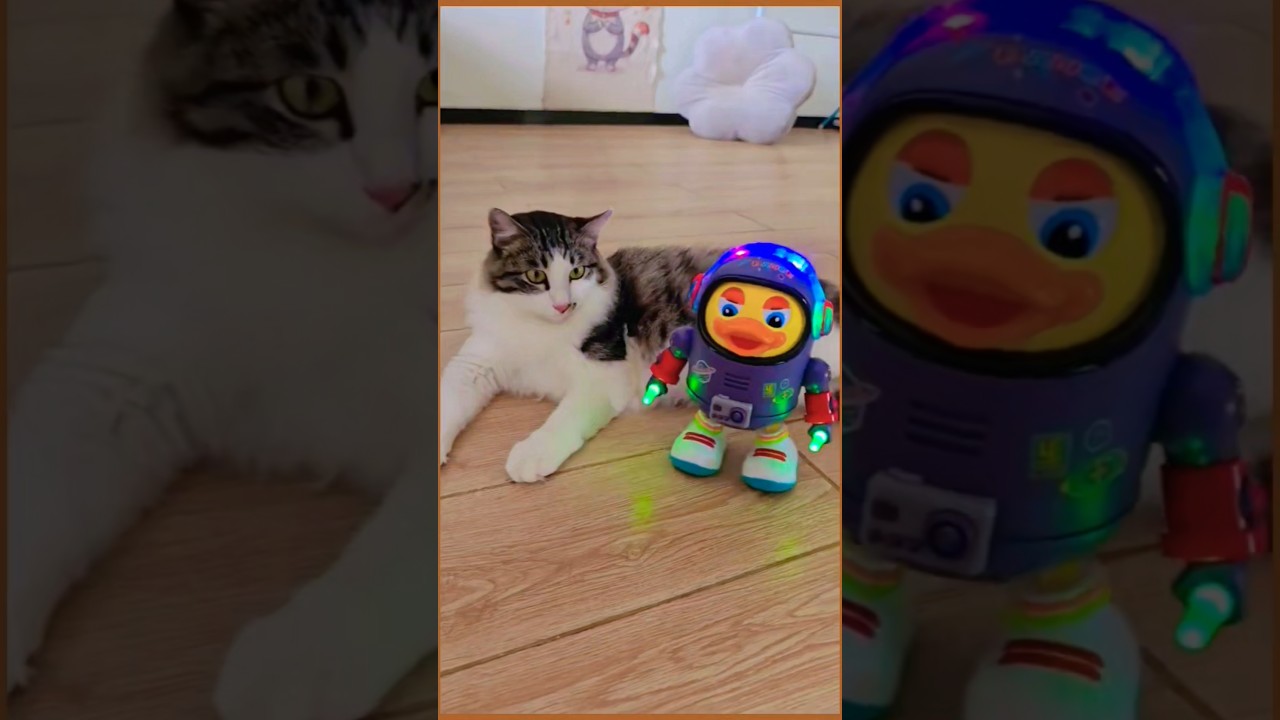 Bebek Luar Angkasa Kembali Main dengan Kucing Tetangga! 🚀🐱