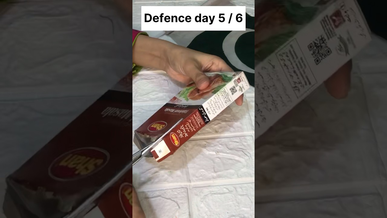 Day 5 Defence Day Crafts for School 🇵🇰