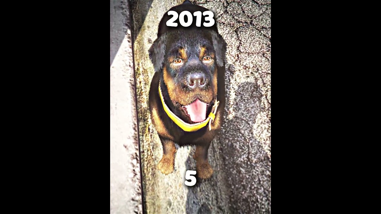 GTA V | Chop Age 🥀 Short