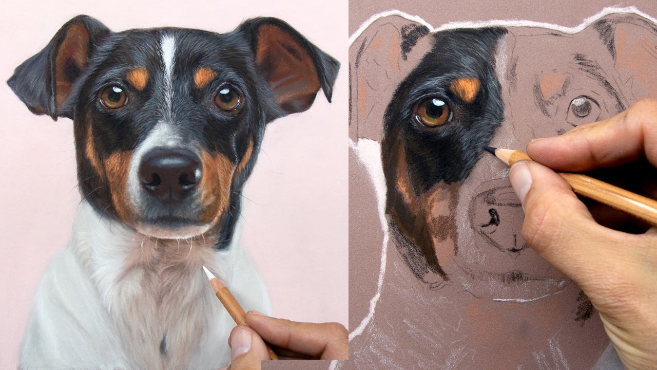 Pet Portraits: Drawing Dog Fur with Pastel Pencils ๐ถ