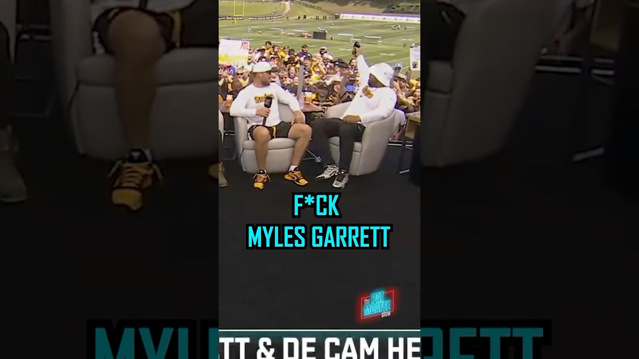 Steelers Fans Are Wild π