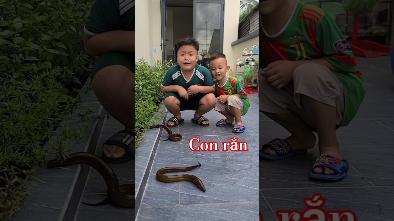 Mẹ ơi, con rắn 🐍