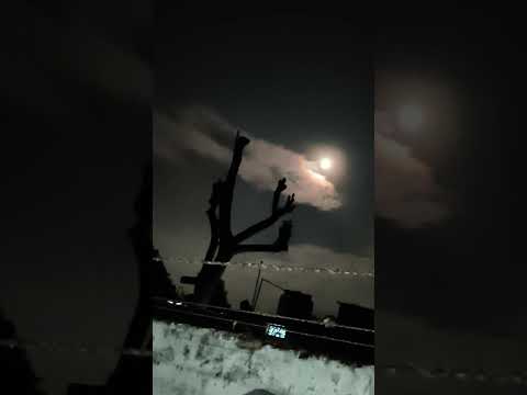 Aadha hai chandarama raat aadhi#oldsong #nature #shortvideo