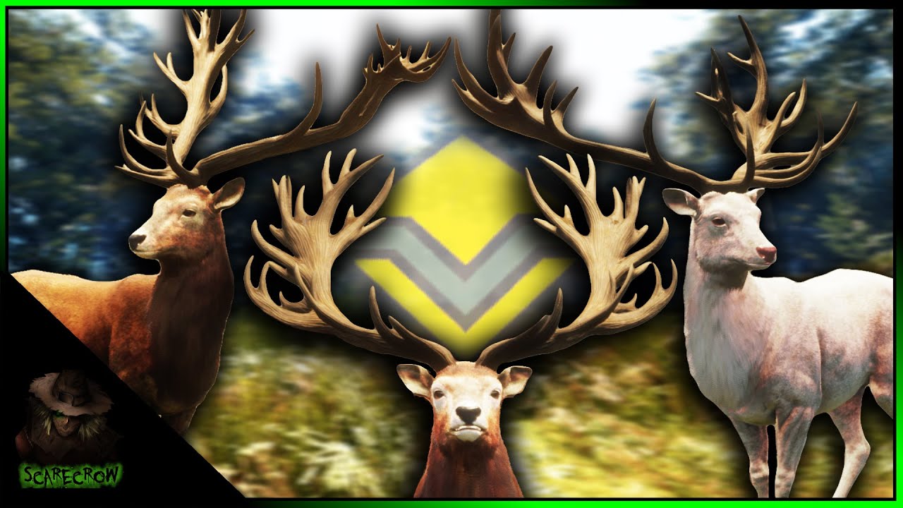 Rare Giant Albino Red Deer & Diamond Stags 🦌