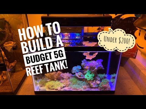 Walkthrough of The Budget 5g Reef Tank Build
