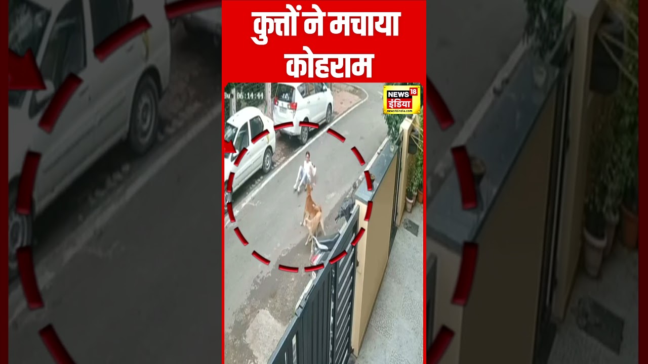 Dewas में कुत्तों का आतंक 😺