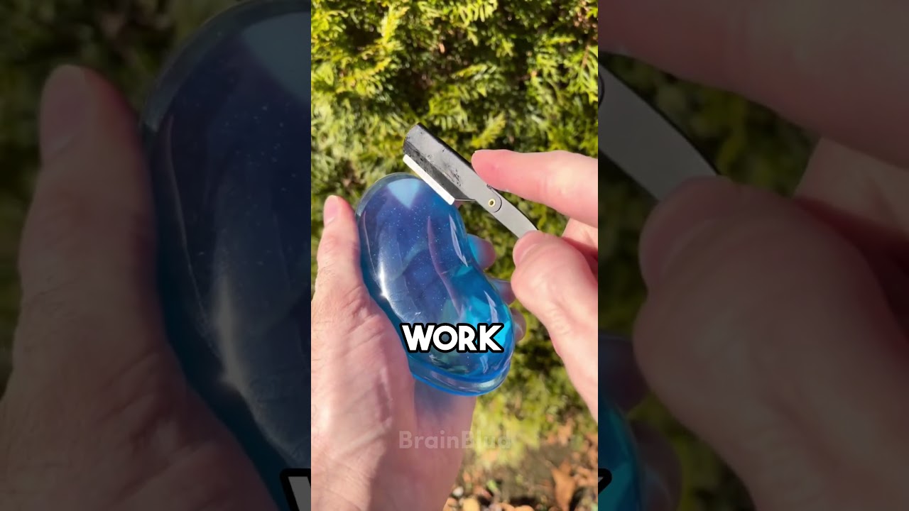 Random Facts That Surprised Me 30 👀