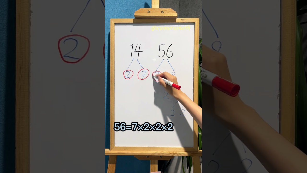 Quick Guide to Finding the GCF 🔍