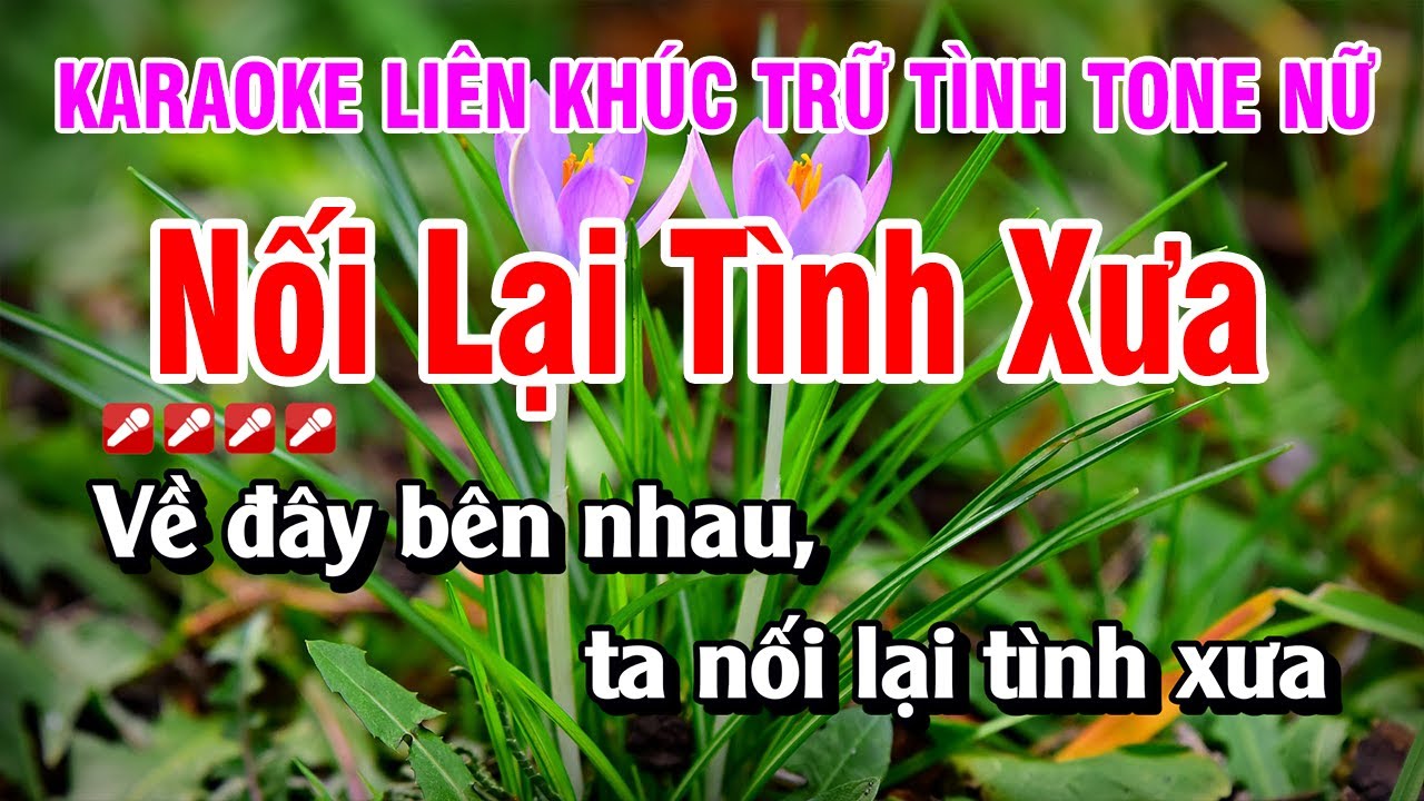 Karaoke Trữ Tình Nữ - Nối Lại Tình Xưa 🎶