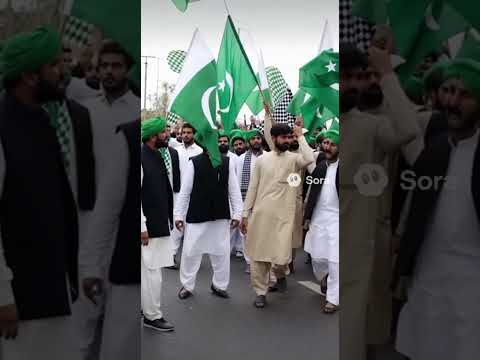 Government bans Tehreek-e-Labbaik Pakistan #TLP #BreakingNews #Pakistan #Government #Ban