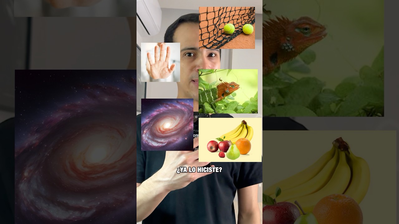 Voy a Leer Tu Mente en 11 Segundos 🧠