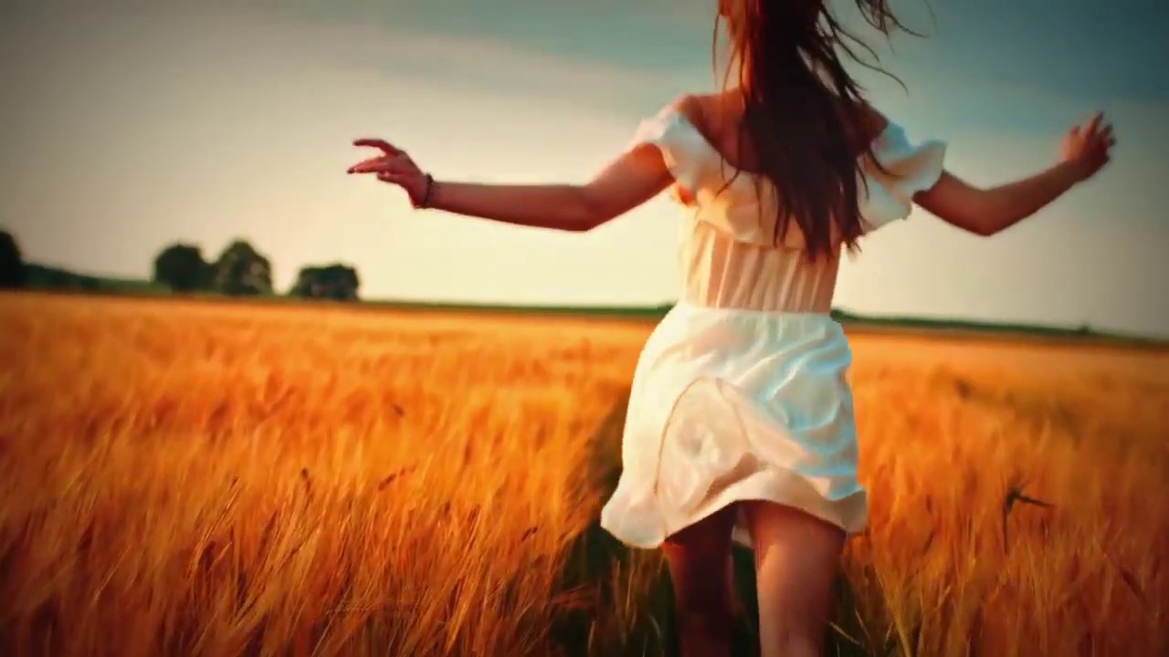 Kygo   We Are Alive