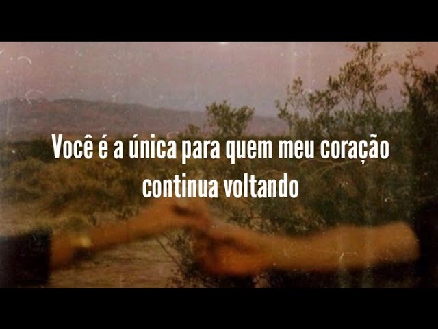 Sempre Foi Você - Shawn Mendes 🎶 | Tradução Completa da Música