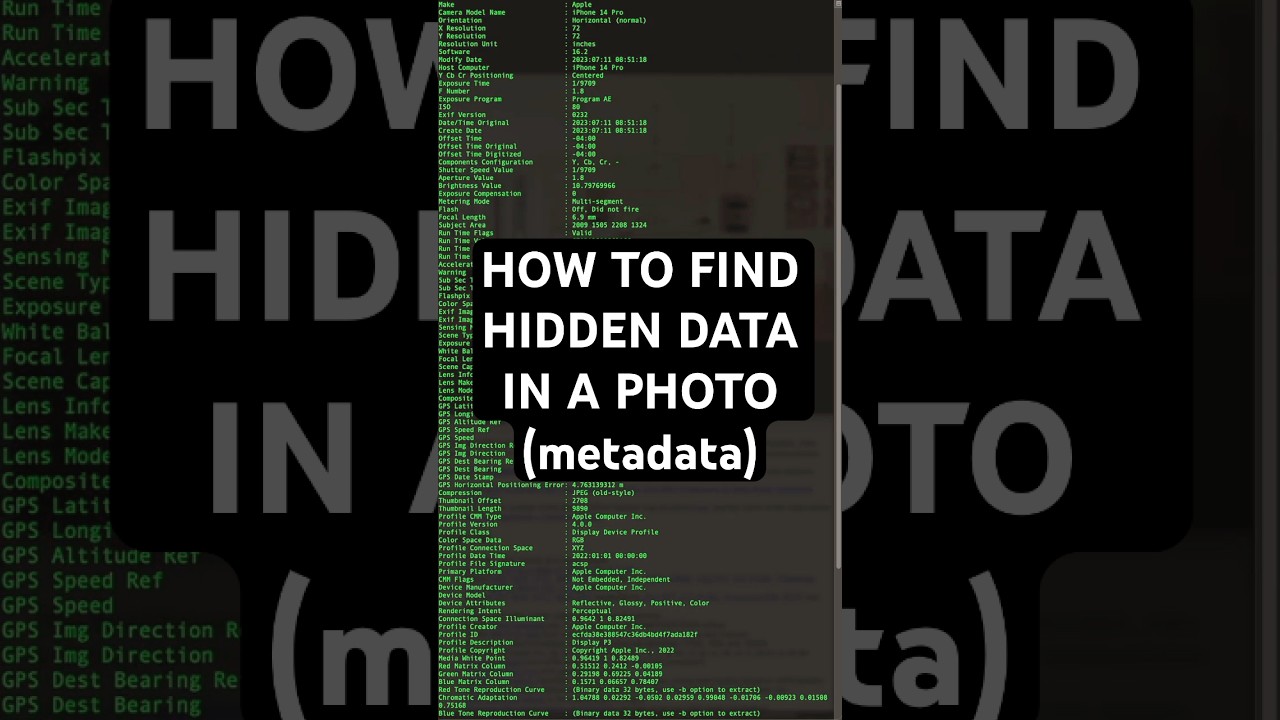 OSINT Advent Series #5: Mastering Metadata Viewing Techniques 🔍