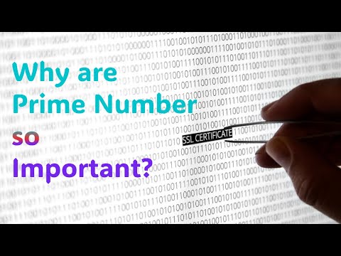 Why is Prime Number so Important? #space #mysteriousdunia #primenumbers