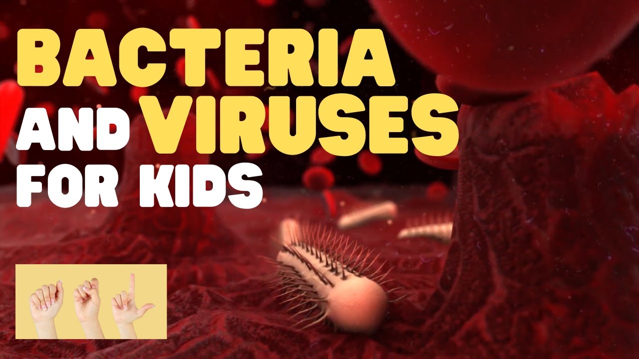 ASL Bacteria and Viruses for Kids