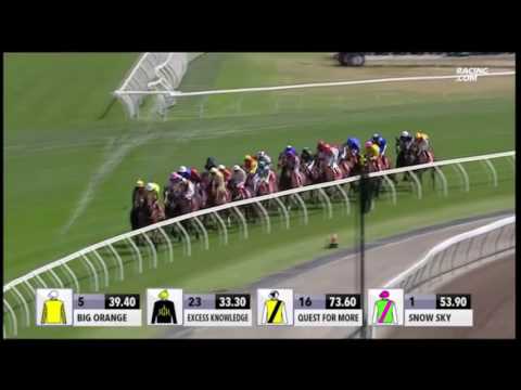 2015 Melbourne Cup - Prince of Penzance