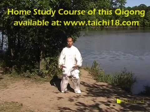 Tai Chi Qigong Shibashi Set 2 by Master Wing Cheung