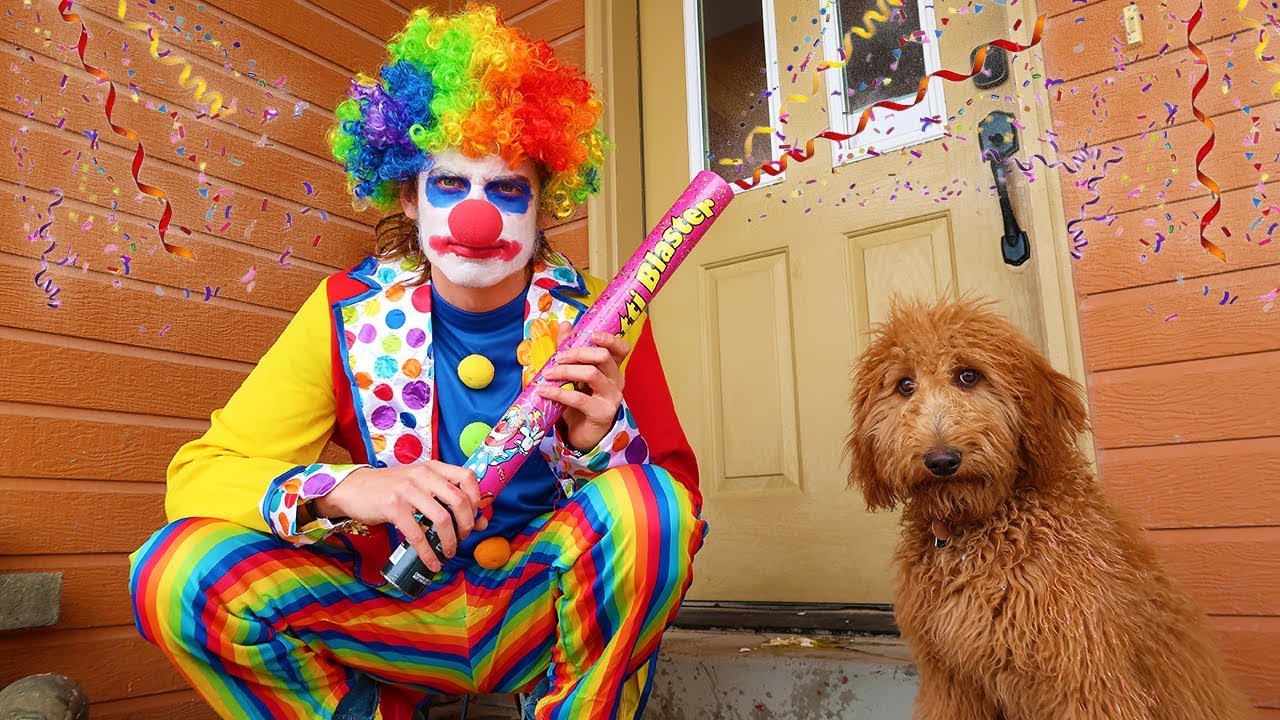 Clown Surprises Puppy with Funny Treats 🎈