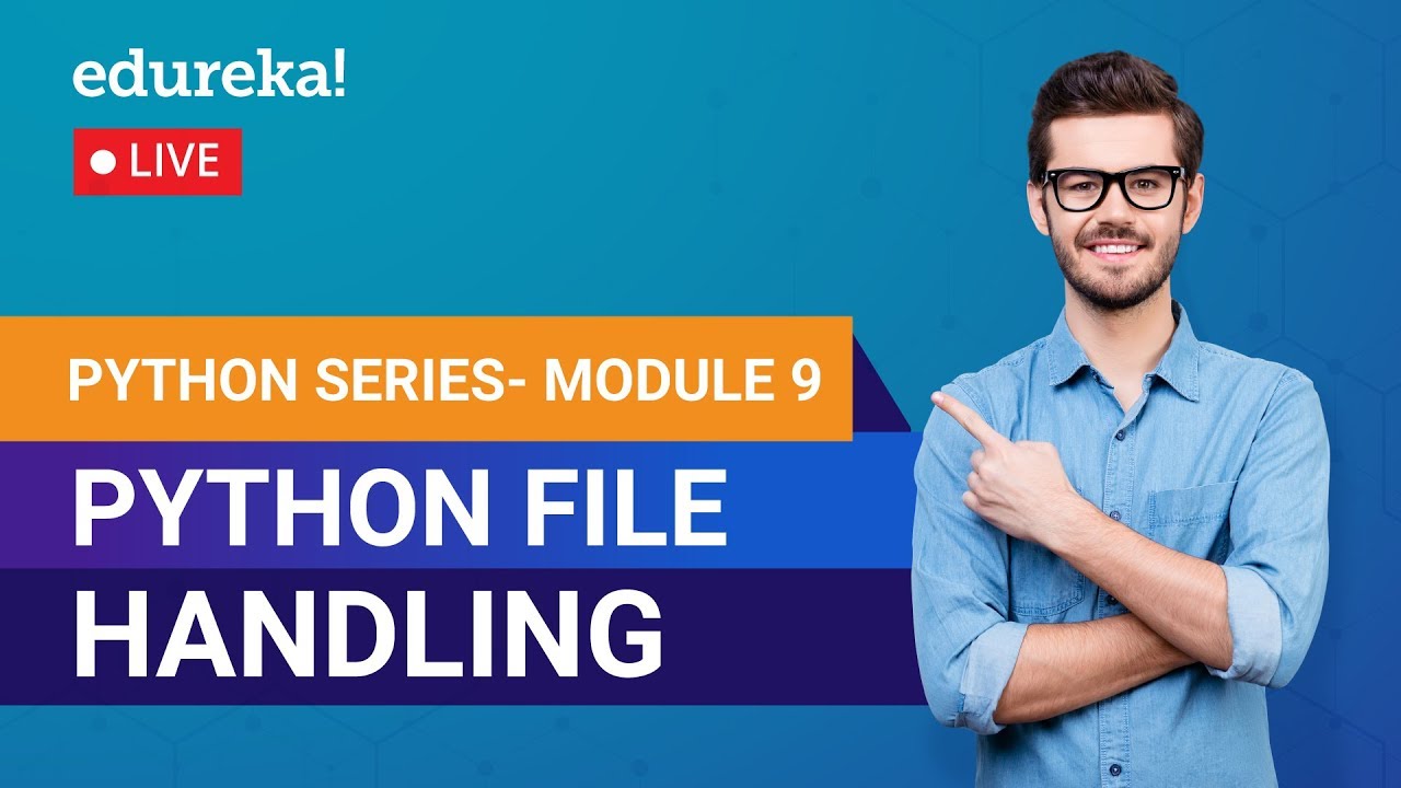 Master File Handling in Python: Complete Beginner's Guide 📂