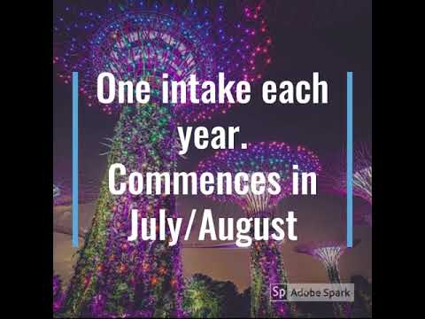 Know more about the NUS MBA Program - Goalisb - MBA admission consultants