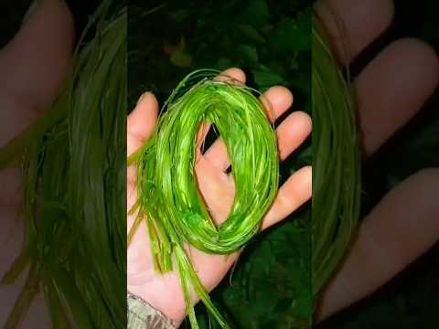 16🔥Как добыть огонь из сырой травы в лесу #выживание #выживаниевлесу #лайфхаки