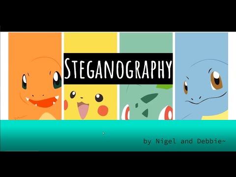 Learn2Learn: Steganography