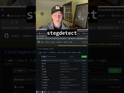 Detecting Steganography #cybersecurity #steganography #computerscience #digitalforensics