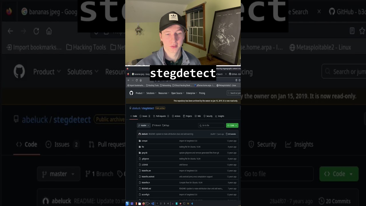 Can You Spot Hidden Data? 🔍 Steganography Detection Made Simple