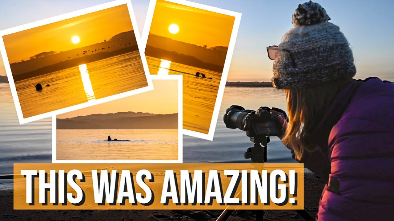 Wildlife & Landscape Photography in Action 🦅