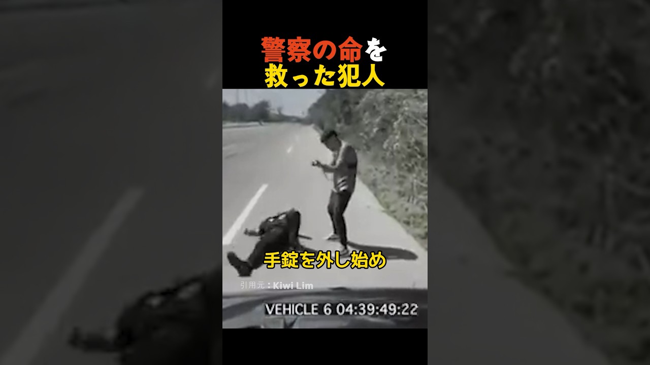 警察を救った犯人の意外な行動🚓