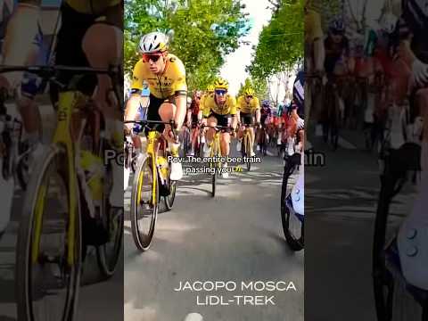 Team Jumbo Visma🔥 #cycling #shorts