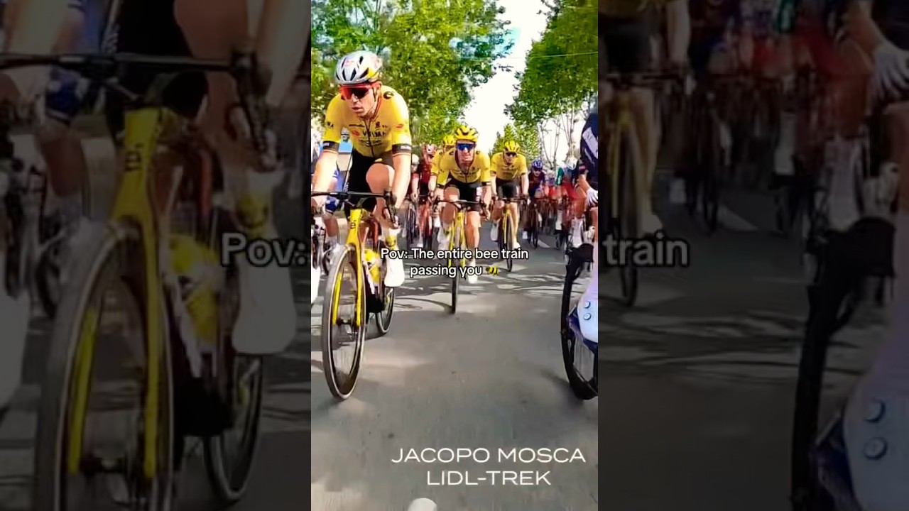 Team Jumbo-Visma Dominates the Cycling World 🚴‍♂️