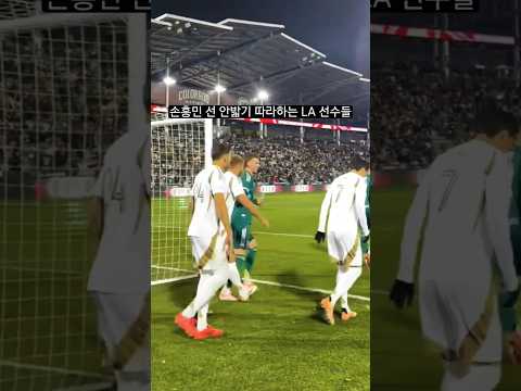 ์ํฅ๋ฏผ ์ค๋ฅธ๋ฐ ๋ฃจํด ๋ฐ๋ผํ๋ LAFC ์ ์๋ค