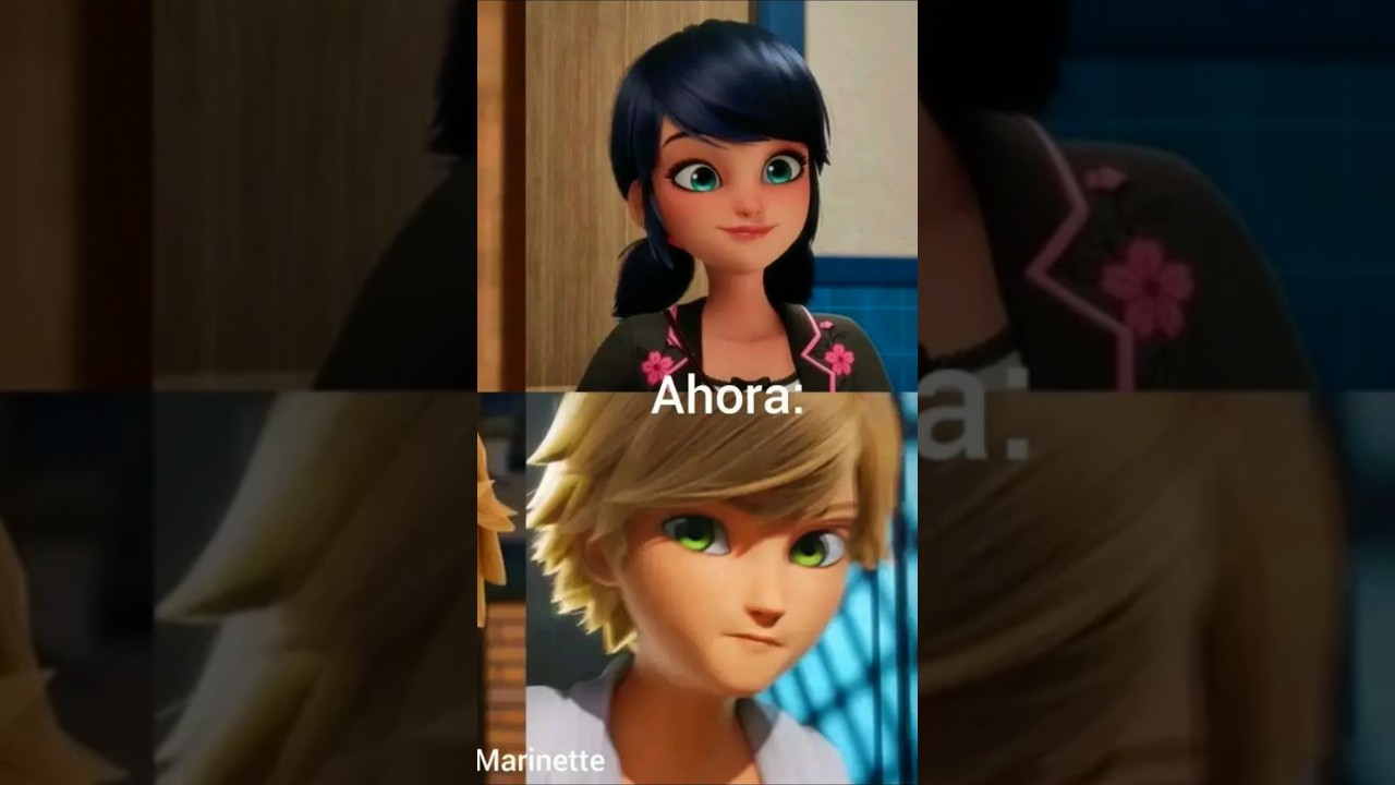 Missing SAMG Animation from Miraculous Season 6 💔