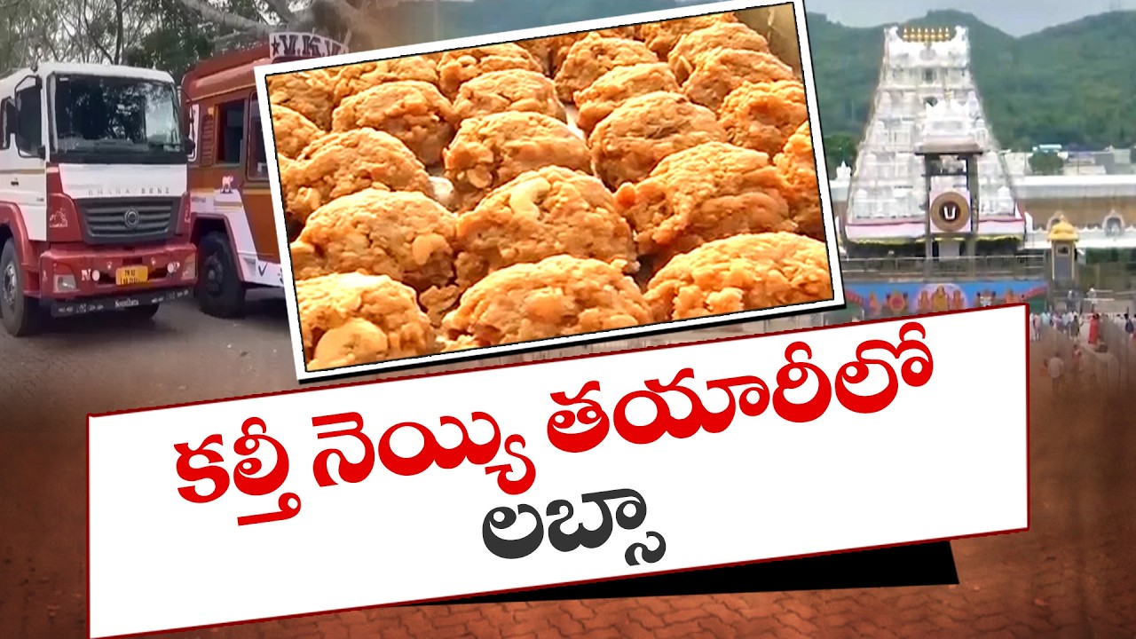 Tirumala Ghee Scam: Labsa Chemical Used in Adulteration 🧪