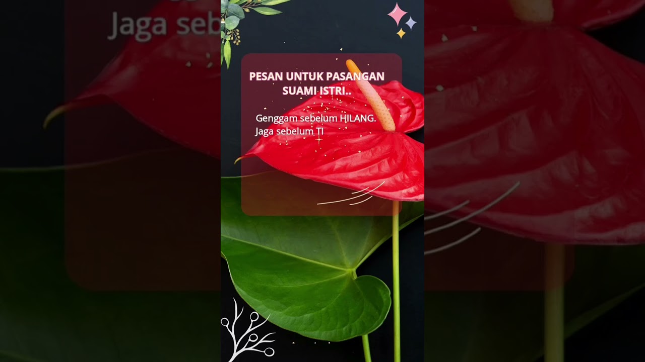 UNTUK SUAMI ISTRI❗  SIMAK PESAN INI AGAR TIDAK MENYESAL #katakatabijak #suamiistri #quotes #shorts