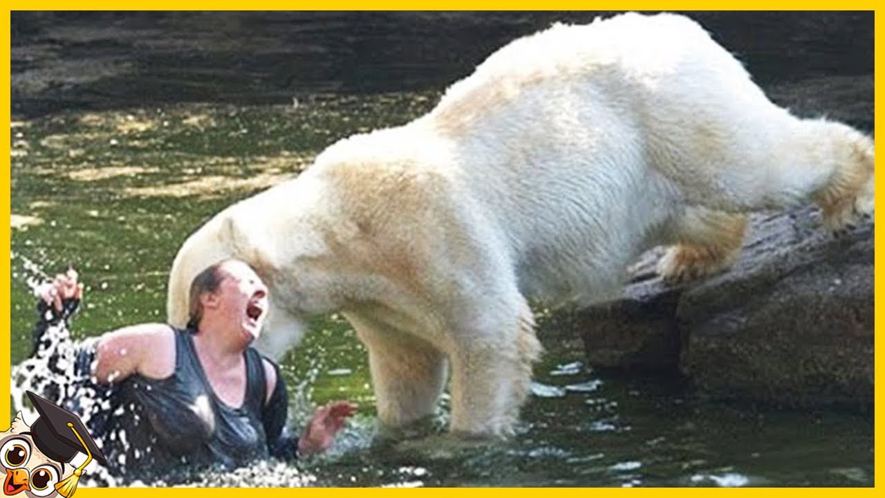 Top 10 Domste Dieren in de Dierentuin 🐒