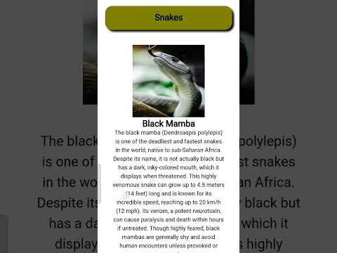 A Website About Snakes #programming #coding