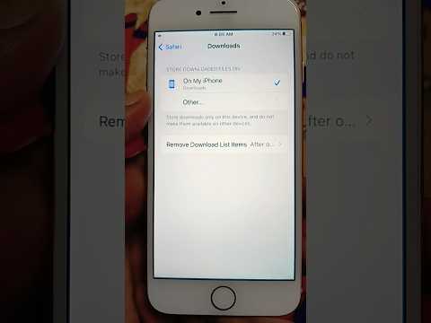 Safari Download Settings