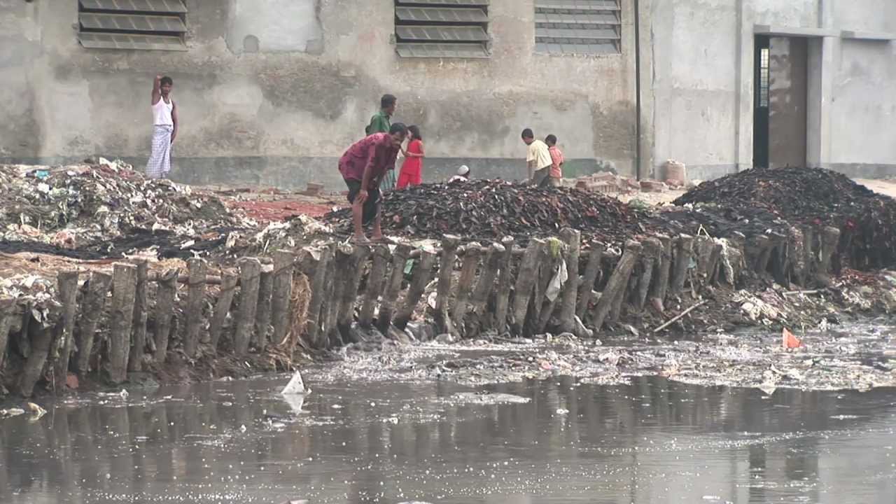 Textiles & Environmental Impact 🌱