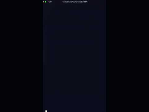 Running Python directly on terminal #coding #java #python #shell