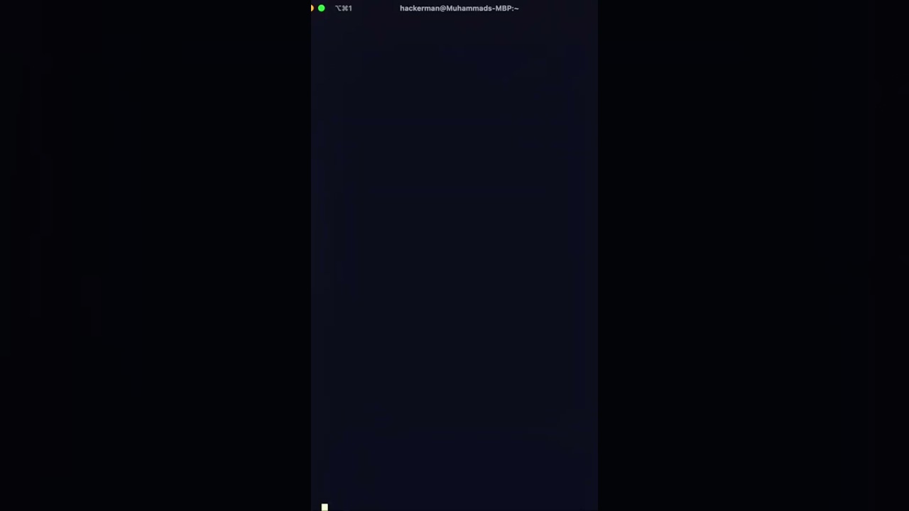 Executing Python Scripts Directly in the Terminal