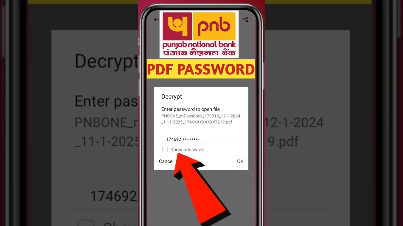 PNB Bank Statement PDF Password 🔐