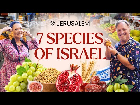 Jerusalem Market SHOCK: 7 Biblical Superfoods You Can Actually Eat!