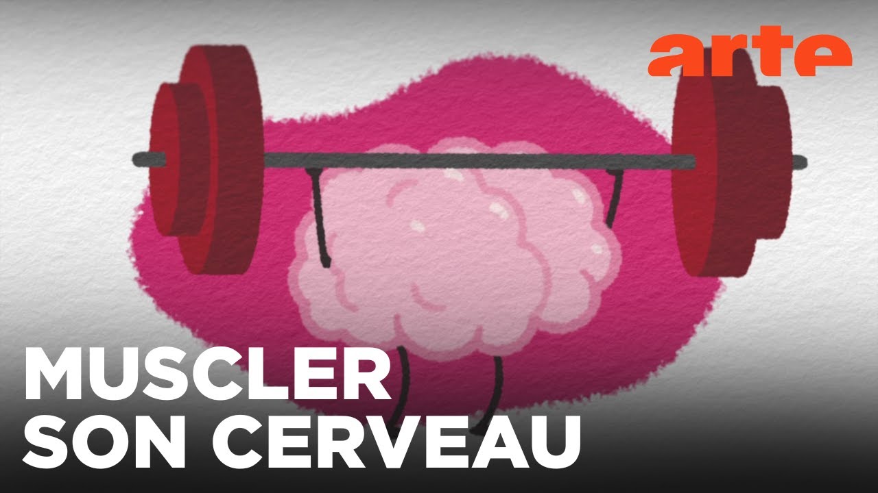 Pourquoi la lecture est-elle bonne pour le cerveau ? | ARTE Family